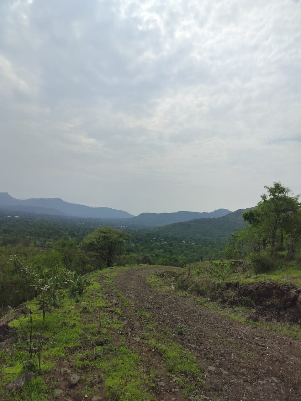 A view from one of the plots.