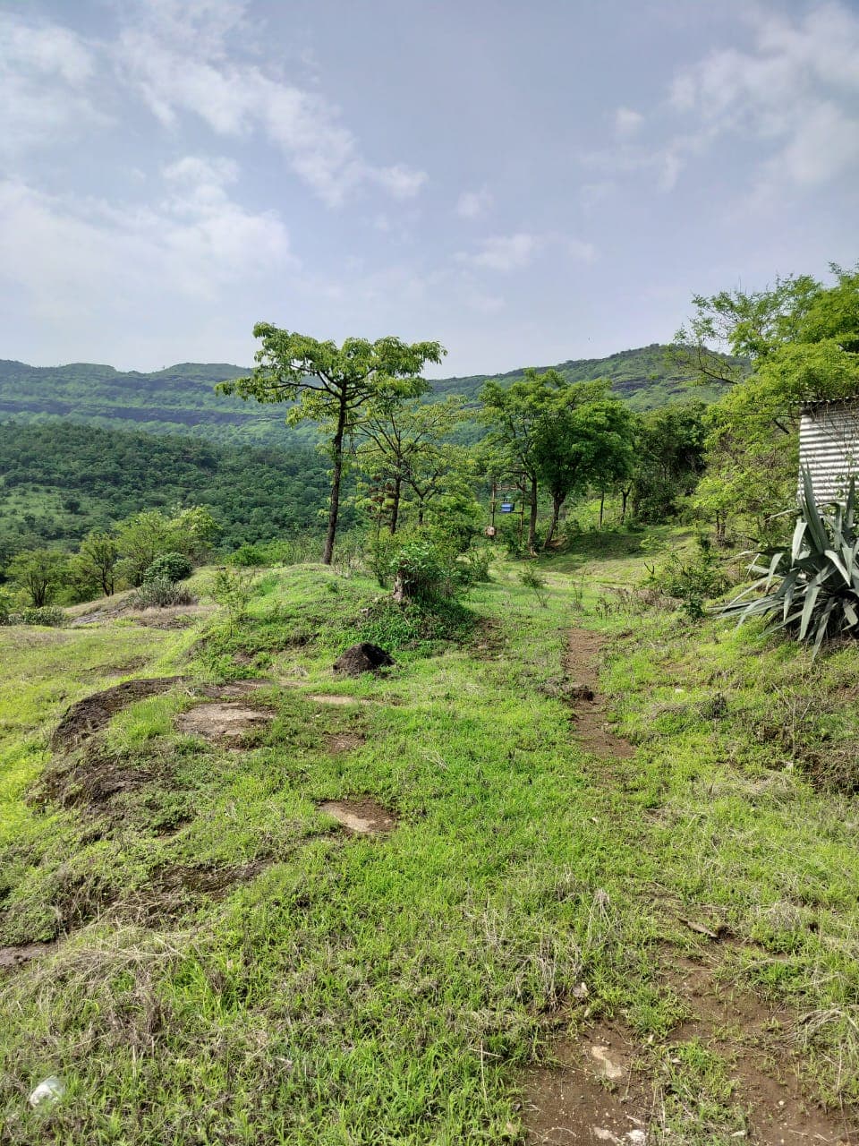 The entrance gate of the project.