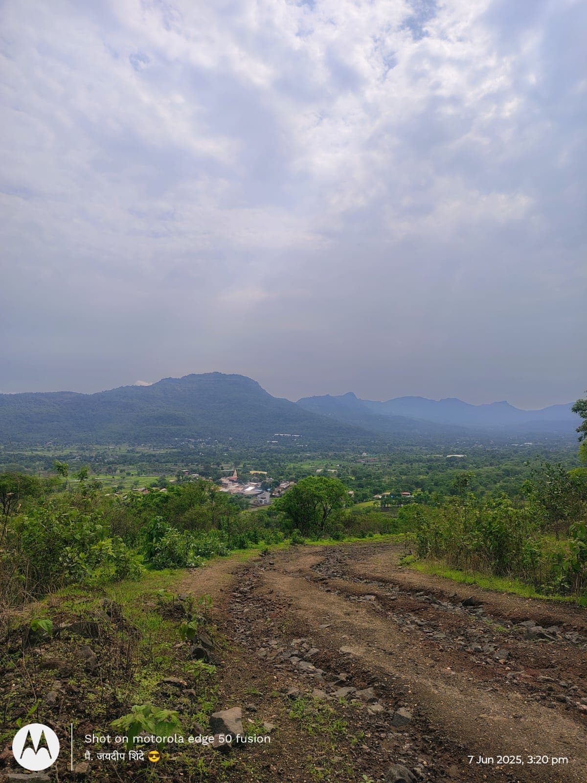 Gallery image showing a tranquil trekking trail through a forest.