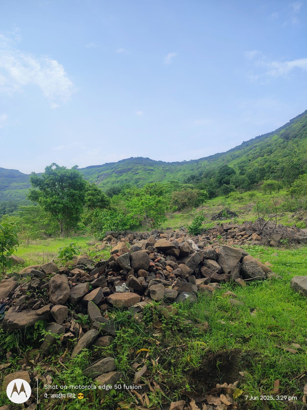 A peaceful lake surrounded by trees.