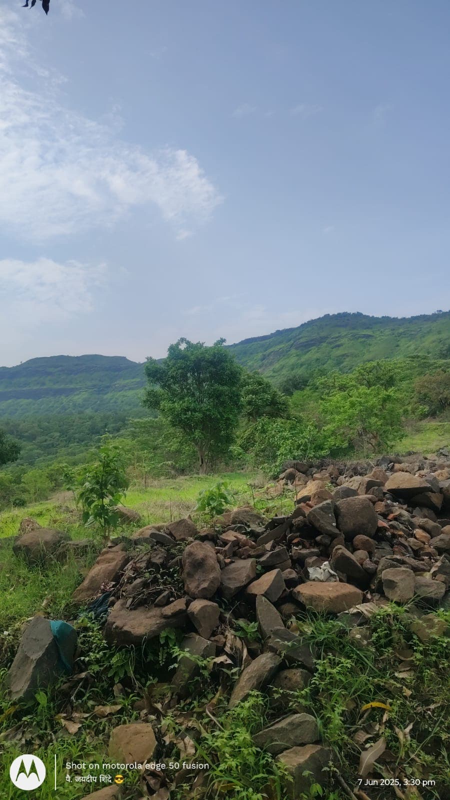 An aerial view of the plots.
